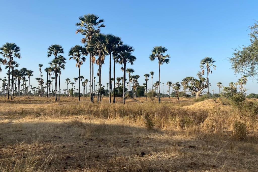 Case Beach Ngalou Sessene Exterior foto